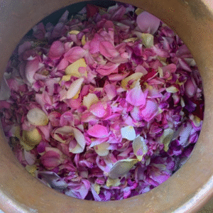 capture d'écran 2025 11 20 040456